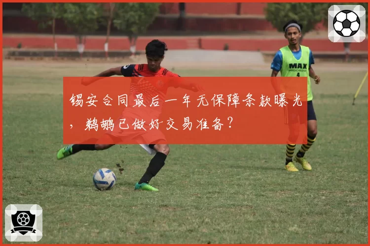 锡安合同最后一年无保障条款曝光,鹈鹕已做好交易准备?