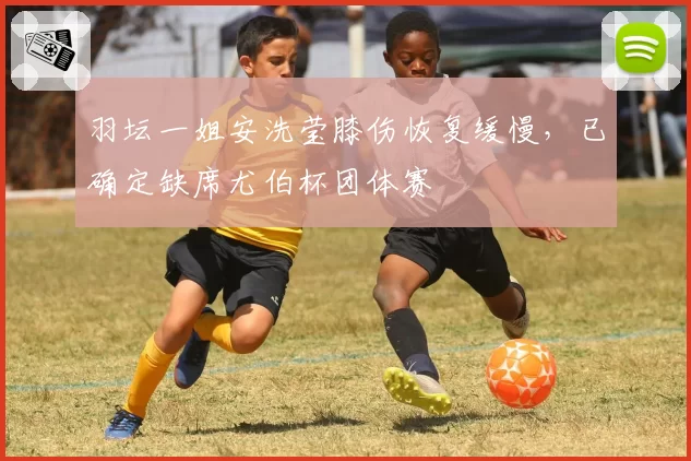 羽坛一姐安洗莹膝伤恢复缓慢,已确定缺席尤伯杯团体赛