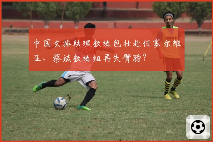 中国女排助理教练包壮赴任塞尔维亚,蔡斌教练组再失臂膀?