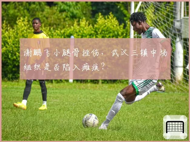 谢鹏飞小腿骨挫伤,武汉三镇中场组织是否陷入瘫痪?