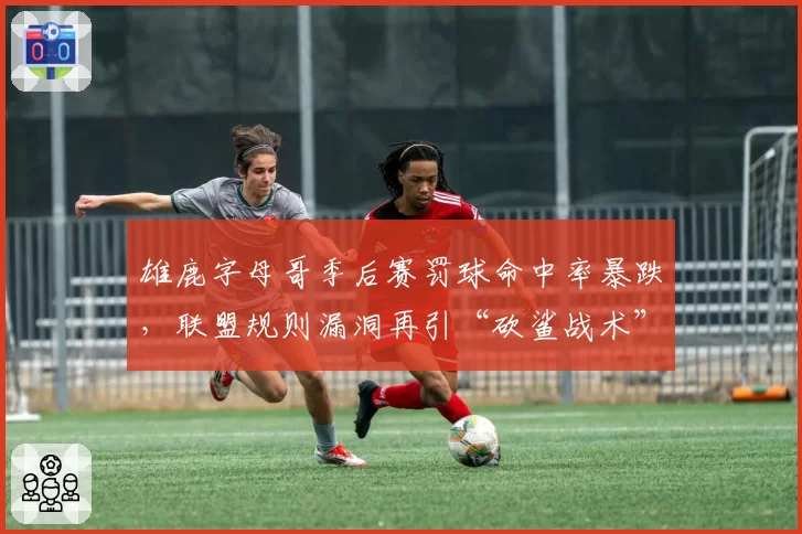雄鹿字母哥季后赛罚球命中率暴跌,联盟规则漏洞再引“砍鲨战术”争议