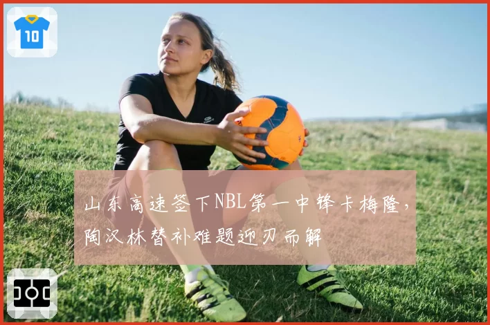 山东高速签下NBL第一中锋卡梅隆,陶汉林替补难题迎刃而解